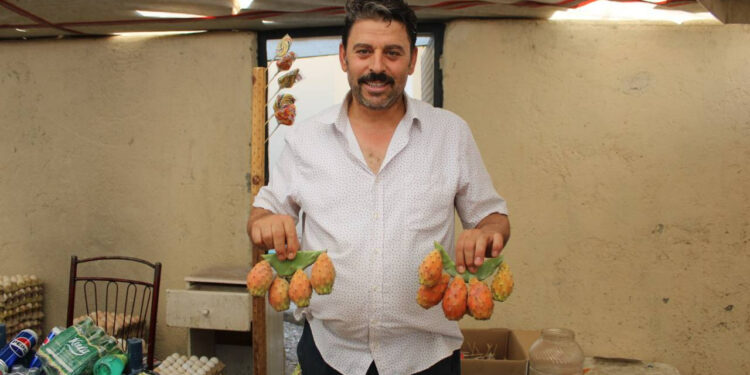 Hint İnciri ve Frenk Yemişi Olarak Biliniyor, Strese Karşı Bire Bir: Pazar Tezgahlarına Damga Vurdu