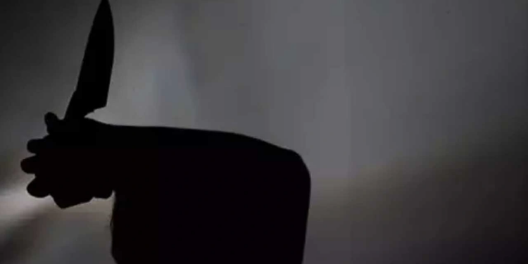 Hollanda'da Bıçaklı Saldırı: 1 Kişi Ölü, 1 Kişi Ağır Yarandı