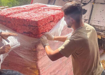 Kan Donduran Gıda Skandalı... Tonlarca Bozuk Tavuğu Piyasaya Sürdüler!