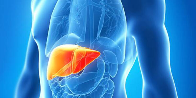 Karaciğer Yağlanmasında Kanser Tehlikesi