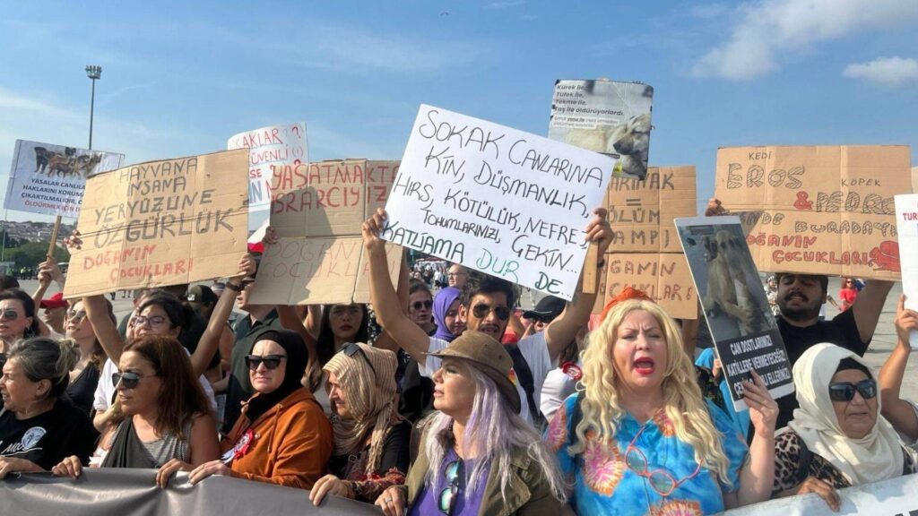 "Katliam Yasasına Hayır” mitinginde “Hükümet istifa” sloganı