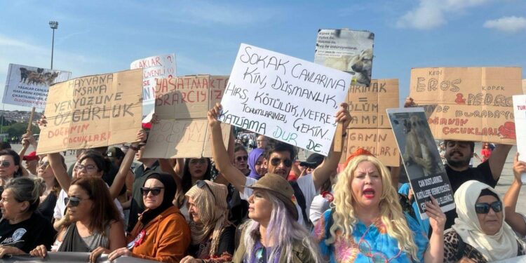 "Katliam Yasasına Hayır” mitinginde “Hükümet istifa” sloganı