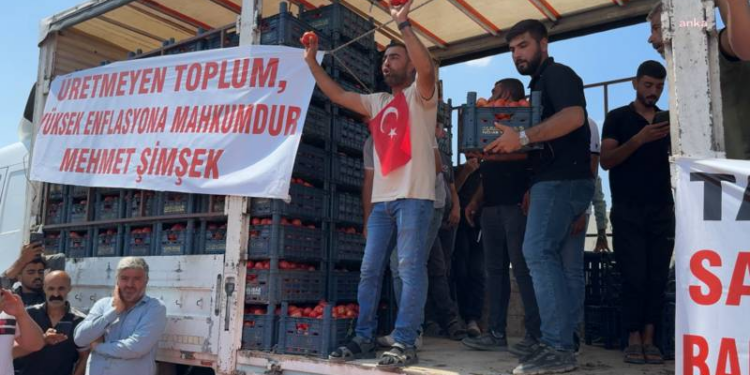 Konyalı çiftçilerden hükümete protesto; kasalarca domatesi yollara döktüler