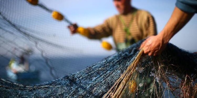 Küçük ölçekli balıkçılara 2 yıl süreyle sağlanacak destekler belli oldu