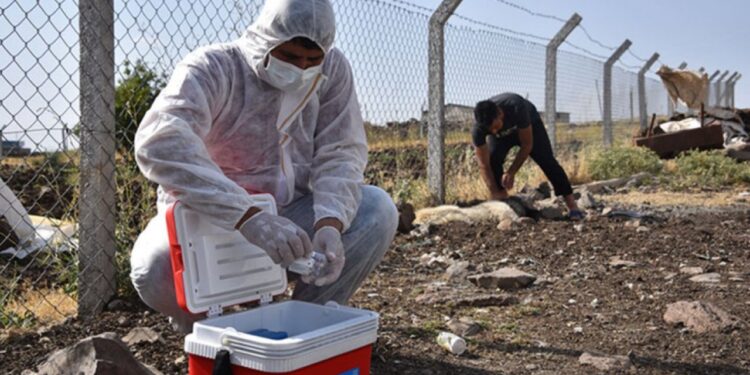 TTB: Kuduzun kontrol altına alınması için kamu otoritesini önlem almaya çağırıyoruz