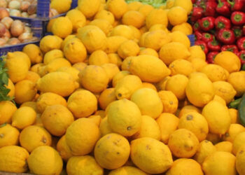 Limonda üretici market farkı yüzde 370