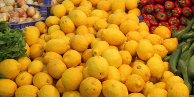 Limonda üretici market farkı yüzde 370