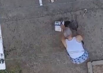 Manisa'da kedi yavrularını öldüren sanığa üst sınırdan ceza verildi