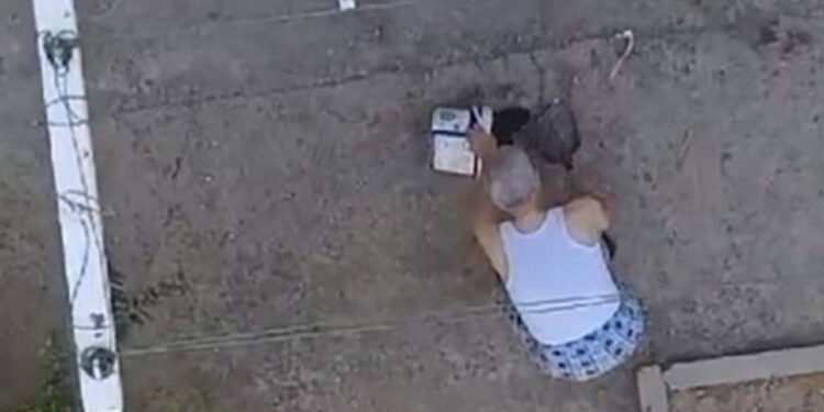 Manisa'da kedi yavrularını öldüren sanığa üst sınırdan ceza verildi