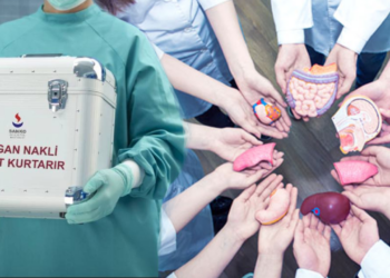 Milyonları İlgilendiriyor! Organ Naklinde Çığır Açacak Çalışma