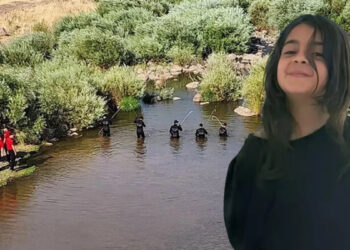 Narin’in köyündeki şüpheli ölümler Meclis’e taşındı