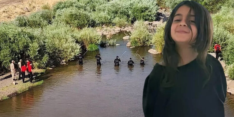 Narin’in köyündeki şüpheli ölümler Meclis’e taşındı