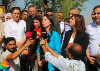 Narin'in nasıl ve kimler tarafından öldürüldüğü neden gizleniyor?