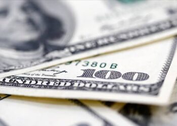 Özel sektörün yurt dışı kredi borcu 173 milyar dolara yükseldi