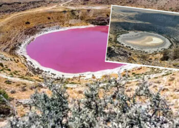 Pembe rengiyle görenleri büyülüyordu: Meyil Obruk Gölü tamamen kurudu