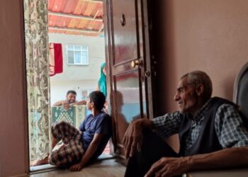 Roman halkının sorunları için araştırma komisyonu kurulması talebi