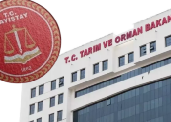 Sayıştay'ın Bakanlıklar Raporu: Tarım ve Orman Bakanlığında Kayıt Dışı Hesaplar!