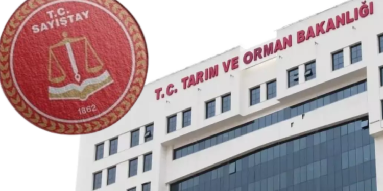 Sayıştay'ın Bakanlıklar Raporu: Tarım ve Orman Bakanlığında Kayıt Dışı Hesaplar!