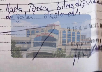 Siirt'te işitme engelli hastanın, Türkçe bilmediği için tedavi edilmemesi TBMM gündeminde!