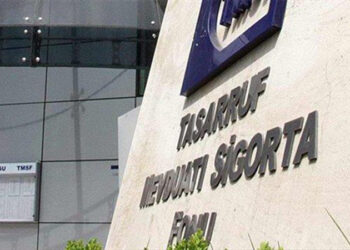 TMSF bir şirketi daha satışa çıkardı