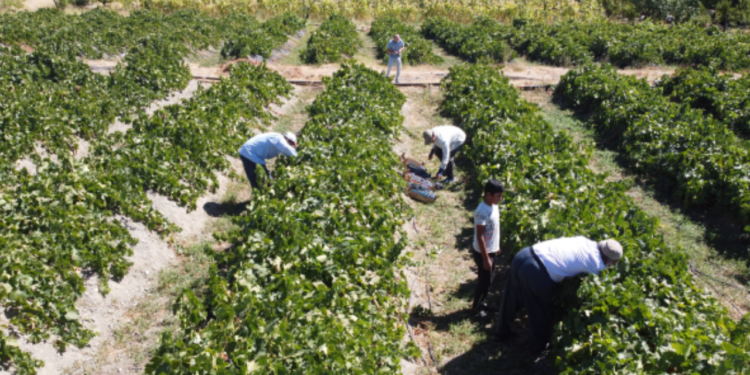 Tam Şifa Deposu, Büyük İlgi Görüyor