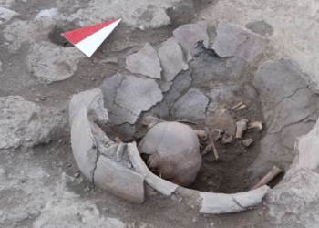 Tam Tamına 6 Bin Yıllık! Kazı Alanında Bulundu