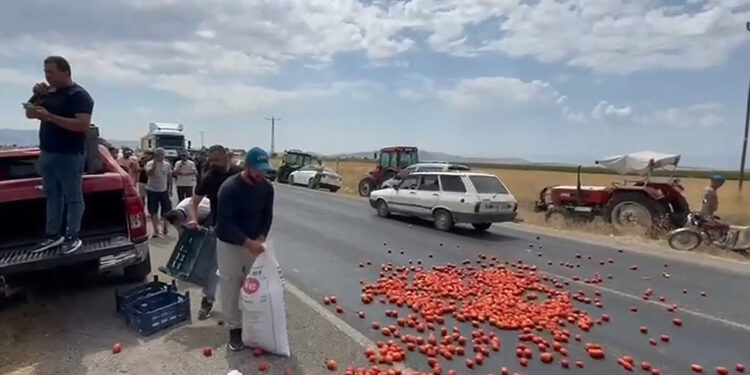 Tarım Bakanı’na göre çiftçileri CHP kıştırtıyor: “Eylemler organize!”