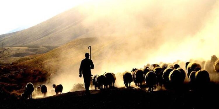 Tarım ve hayvancılığı bırakanların sayısı artacak; Zor günler kapıda!