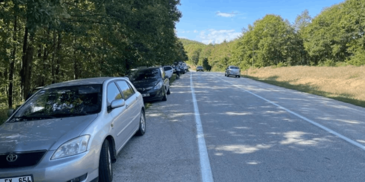 Toplamak İçin Yol Kenarlarına Dizildiler, Kilosu 120 Lira