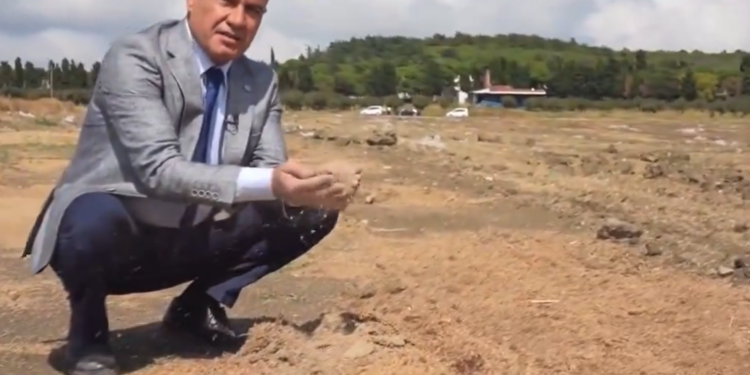 Turhan Çömez, çuvalları elleriyle çıkardı; TMO, tonlarca buğdayı toprağa gömmüş!