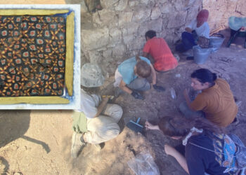 Türkiye'de İlk Kez Rastlandı! Bakan Ersoy 'Yılın Bulgusu' Diyerek Duyurdu