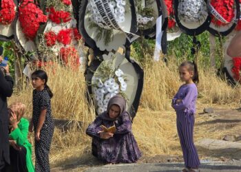 Tutuklamaların ardından Tavşantepe Köyü'nde ölüm sessizliği