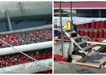 Uygunsuz koşullarda salça üreten işletmenin faaliyeti askıya alındı