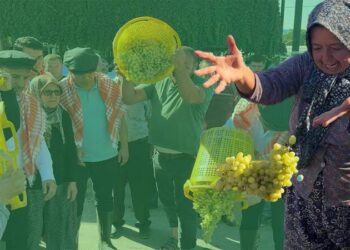 Üzüm üreticileri isyanda; "Çiftçi bu haldeyken iktidarın gelip üreticilerden oy istemesi ayıptır!”