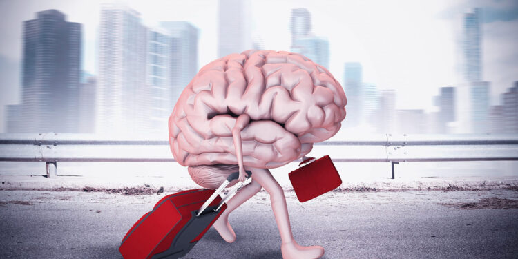 Yükseköğretim mezunlarının beyin göçü oranı arttı: En çok ABD tercih edildi