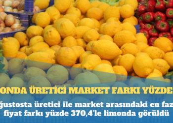 Limonda üretici market farkı yüzde 370