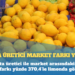 Limonda üretici market farkı yüzde 370