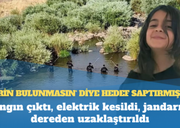 ‘Narin bulunmasın‘ diye hedef saptırmışlar: Yangın çıktı, elektrik kesildi, jandarma dereden uzaklaştırıldı