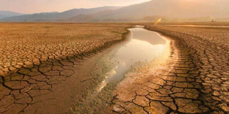29 büyükşehir belediyesinin ÇKİD bütçelerinin toplam yıllık bütçelerine oranı yüzde 23