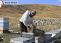 30 yıllık geçim kaynağı: Arıcılık