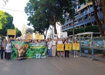 Hayvanlar için AYM’ye seslendiler: Yasayı iptal et