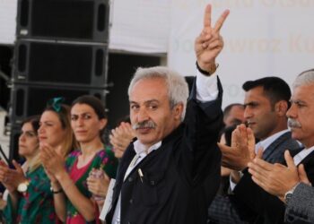DEM Parti: Halk egemenliği Kürtler özelinde ihlal edildi