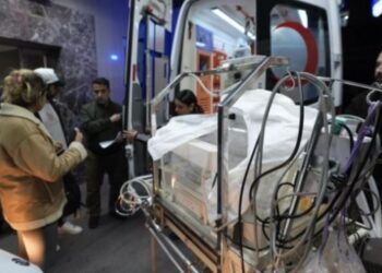 ‘Yenidoğan Çetesi buzdağının görünen kısmıdır’