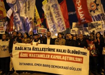 İstanbul Emek, Barış ve Demokrasi Güçleri: Hastanelerde çete düzenine son
