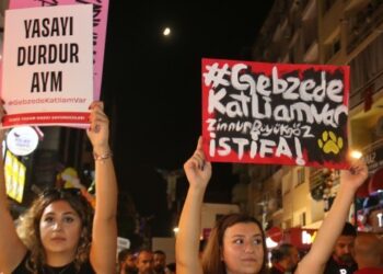 Gebze’deki hayvan katliamı protesto edildi