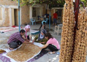 Yüzlerce bağcıdan geriye 3’ü kaldı