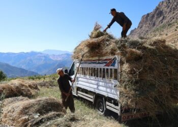 Elkê yaylalarında kış hazırlığı