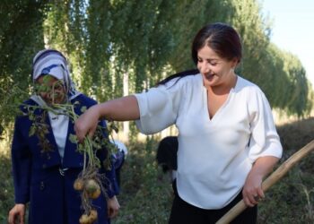 Çiftçi ve siyasetçilerin kooperatifinde yeni hasat dönemi