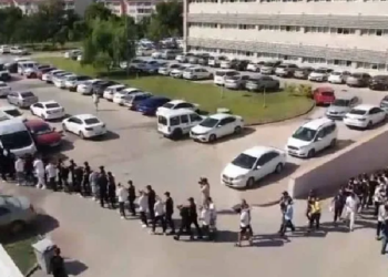 Antalya merkezli 25 ildeki yasa dışı bahis operasyonunda 37 zanlı tutuklandı