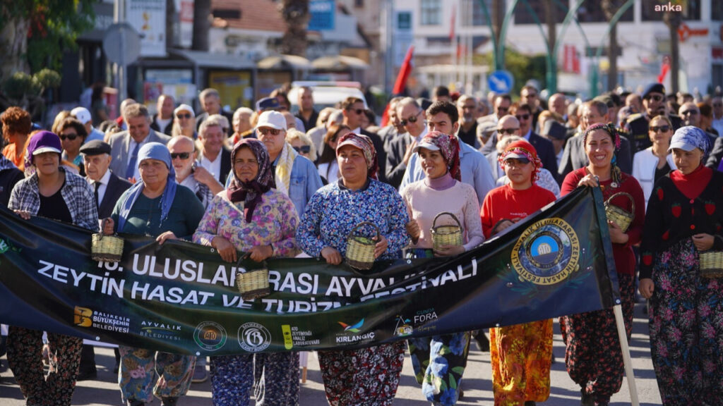 Ayvalık Zeytin Hasat ve Turizm Festivali'ne Geri Sayım